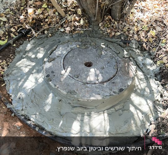 מכסה בטון עגול עם צינור ליד עץ